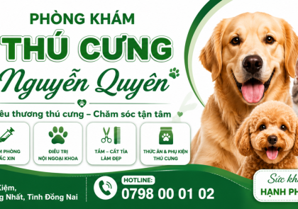PHÒNG KHÁM THÚ Y NGUYỄN QUYÊN- THIẾT KẾ BỞI MR TÀI: 0789711496